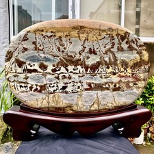 32.6LB Beautiful Natural Chinese Dendritic Limestone Picture Stone Guohua-Rare picture