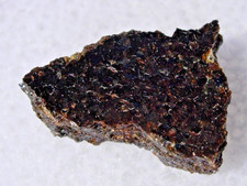 .845 grams NWA 16170 Brachinite Primitive Achondrite slice Meteorite with a COA picture