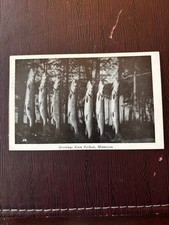 Greetings from Perham, Minnesota, Postcard, 48, Fish, Undivided Back, c1948 picture