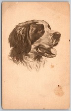 1911 St Bernard Dog Portrait Illustration ANTIQUE Postcard 10616 picture