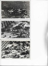 3-P0STCARDS-REAL PHOTO-BENTSEN CLUB-HOME OF ELMER BENTSEN-HOME OF LLOYD BENTSEN picture