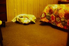 c1970's 35mm Slide, Mid Century Bedroom, Floral Bedding Color Photo picture