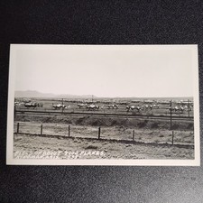 RPPC 7000 Military Planes in Field Kingman, Arizona 5.5x3.5- Vintage Postcard picture
