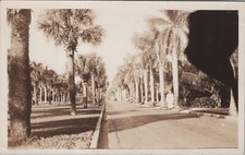 Antique 1934 Palm Beach Florida palm tree-lined street OOAK Original Photo picture