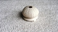 Vtg Margaret Furlong  Sea Urchin Tea Light HTF  2000 no box picture