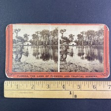 Silver Springs Ocklawaha River Florida Stereoview 1870s Tropical Scenery picture
