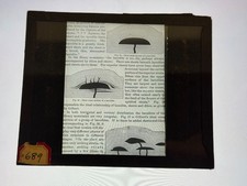 Antique Magic Lantern Slide Educational Laccolite Diagram picture