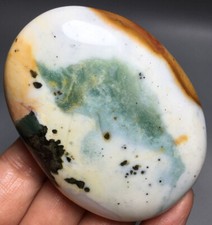 156g  NATURAL ocean jasper palm  QUARTZ  CRYSTAL palms HEALING picture