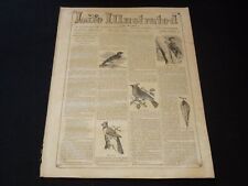 1857 OCTOBER 10 LIFE ILLUSTRATED NEWSPAPER - BIRD NOTES - NP 5915 picture