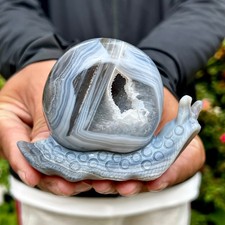 300G  Hand Carved Agate Amethyst Druzy Snail Crystal Animal Statue Healing Decor picture