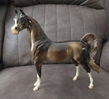 Cody 2008 Glossy Golden Bay Arabian picture