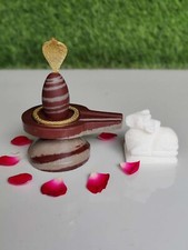 Narmadeshwar Shivling Original/Natural Narmada Stone with Jaldhari Nandi picture
