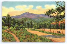 Postcard White Mountain Sierra Blanca New Mexico Ruidoso Highway picture