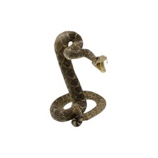 100% Genuine Real Snake Taxidermy Striking Eastern Diamondback Rattlesnake Mount picture