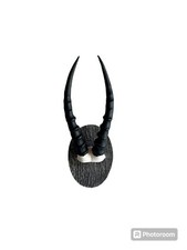 African Blesbok horns replica Taxidermy skulls horns skulls picture