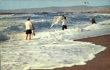 Coast Fishing ~ Redwood Highway ~ California ~ salmon & albacore ~ postcard picture