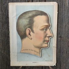 1901 Antique Medical Anatomical Flap Manikin Chart Human Head Brain Skull Oddity picture
