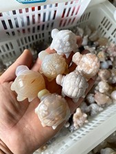 atural Sakura Agate Blossom Facet Rough Specimen Madagascar 1pc picture
