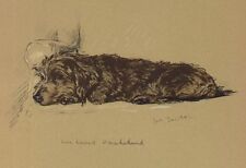 Wirehaired Dachshund / Wire Hair - CUSTOM MATTED - Lucy Dawson Dog Art Print NEW picture