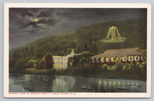 General View Rorick’s Glen at Night Elmira NY Postcard Rubin Bros Moonlight picture