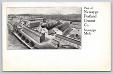 K59/ Newaygo Michigan Postcard c1910 Portland Cement Factory 244 picture