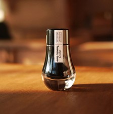 Dominant Industry November leaves - Standard Ink Bottle picture
