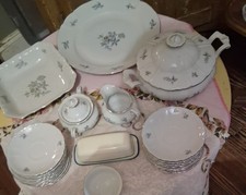 Vintage Bohemian China, wild flower pattern, featuring white porcelain body with picture