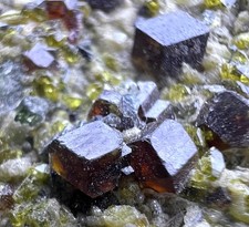 398 CT. Lustrous Full Terminated Andradite Garnet Bunch Crystals On Matrix - AFG picture