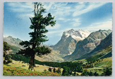 Grindelwald Switzerland Wetterhorn 1962 Postcard Posted picture