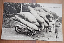 Martin Exaggeration 1910 Real Photo Postcard RPPC - Sweet Potatoes on Wagon picture