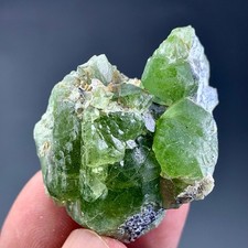 155 Cts Natural Terminated Peridot Crystals Bunch Specimen From Pakistan picture