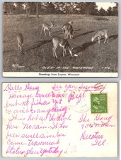 Greetings from Sayner Wisconsin Deer in the Northwoods Postcard PB438-U picture