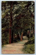 1912 Lakewood New Jersey N Vintage Postcard The Walk Along The Lake Trees Road picture