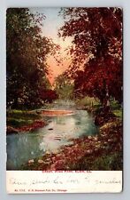 Elgin IL- Illinois, Creek Wing Park, Antique, Vintage c1908 Souvenir Postcard picture