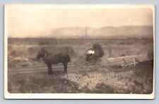 RPPC Horses Pulling a Person in a Carriage AZO 1904-1918 ANTIQUE Postcard 1297 picture
