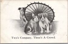 1909 Animal Postcard Dog & Cat Under Parasol 