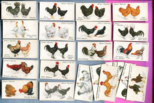 1931 JOHN PLAYER AND SONS POULTRY 50 DIFFERENT TOBACCO CARD SET picture