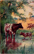 Beating The Noonday Heat Cattle Cooling In A Stream Vintage Artotype Postcard picture
