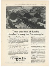 1928 Douglas Fir Ad: Pipeline to Brown Co. Paper Mill at Berlin New Hampshire picture