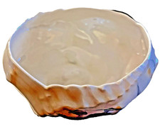 Royal Bayreuth Seashell Sugar Bowl Iridescent Porcelain Bowl Vintage Conch Shell picture