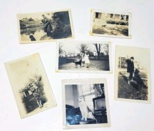 6 Vintage 1940s 1950s B&W Snapshot Photos Women Dogs Family Life Vernacular picture