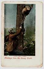 Antique Postcard Possum Hunting Greetings from the Sunny South Chisholm Bros picture