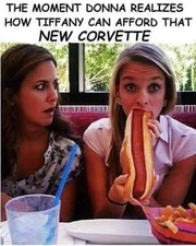 FUNNY MEME Magnet, Decal, Poster, Glossy Metal Sign picture