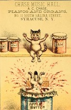 Antique 1882 Chase Music Hall Syracuse NY Victorian Trade Card Exploding Cat Art picture