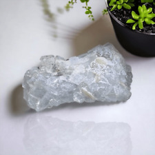 Apophyllite Blue Gray Crystal Mini Cluster (#2) picture