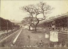 France, Paris, Jardin du Palais Royal, vintage print, ca.1880 vintage print size picture