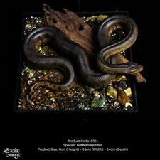 Realistic Green Anaconda Python Resin Figure Statue Craft Decor Collection Gift picture