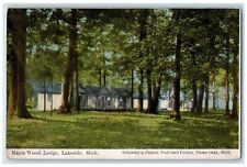 c1910 Scenic View Maple Wood Lodge Lakeside Michigan MI Antique Vintage Postcard picture