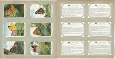 Liebig, Set 6 Cards, F1708, 1959, Letters & Figures on Butterflies picture