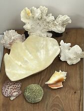 Assorted Large Corals Seashells Conch Marine Coral & Shell Lot 7 Beach Decor Lot picture